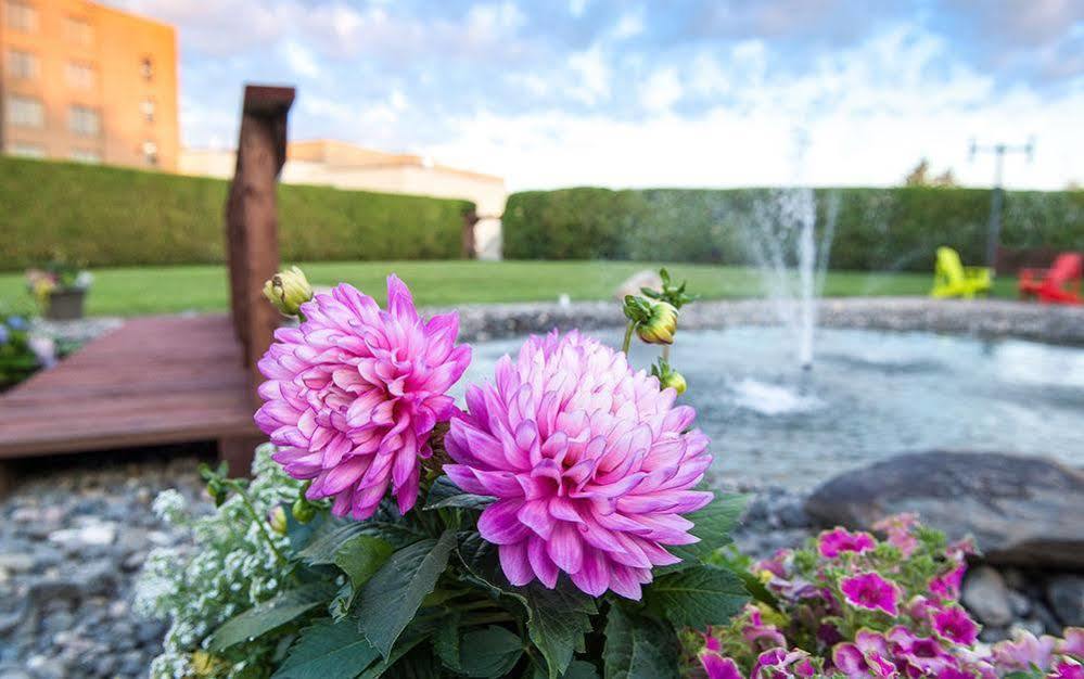 Hotel Le Victorin, An Ascend Hotel Collection Member ビクトリアビル エクステリア 写真